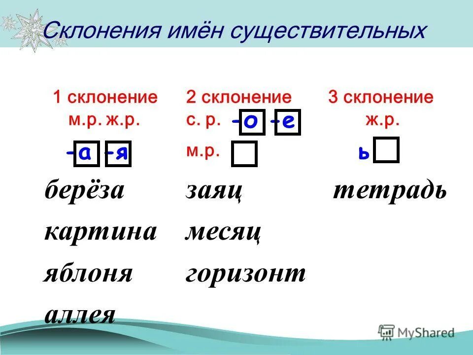 Склонение слова зайцев