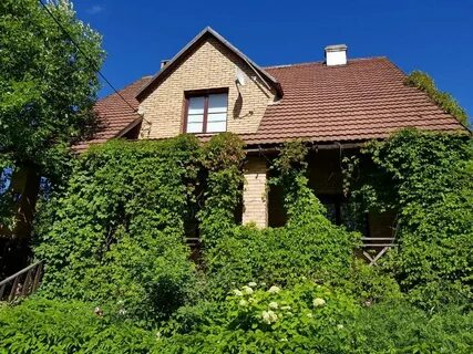 Дрим виладж