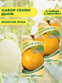 Дыня луна