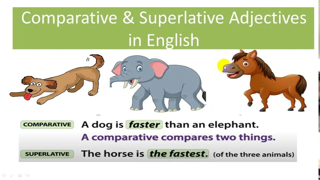 Compare animals. Superlative adjectives примеры. Comparative adjectives примеры. Degrees of Comparison of adjectives правило. Comparatives для детей.