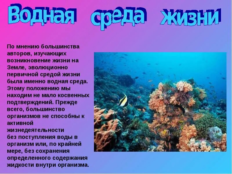 Среда обитания 7 класс биология кратко. Сообщение о водной среде. Водная среда жизни. Жизнь организмов в водной среде. Презентация водная среда.