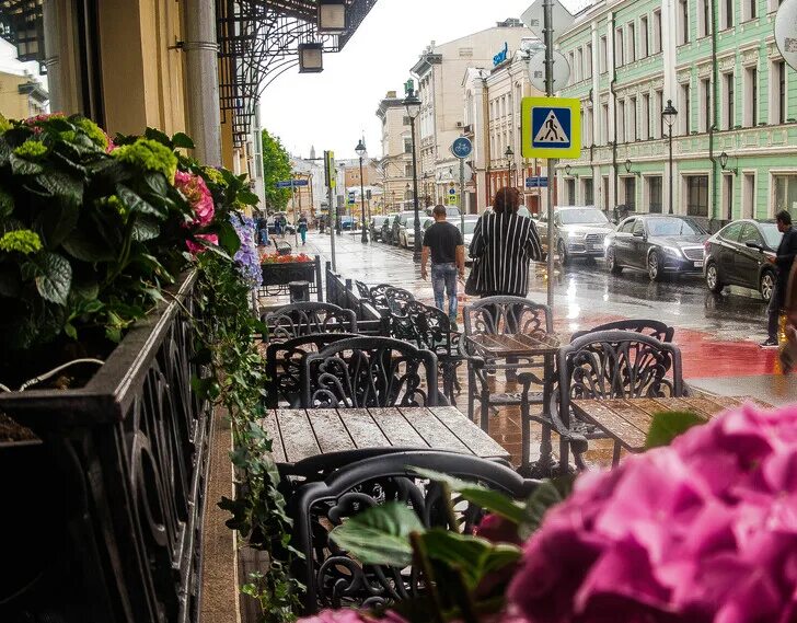 Погулять в москве весной. Где погулять в Москве весной. Где можно погулять в центре Москвы.