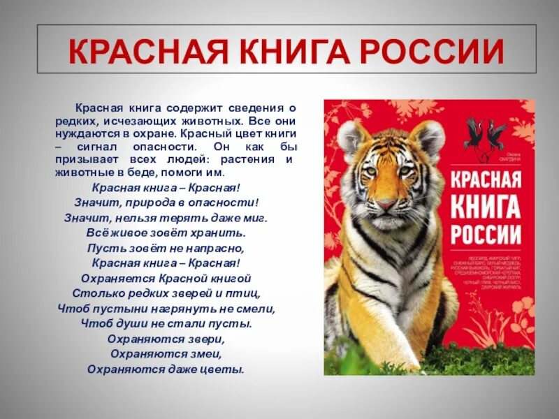 Проект 4 класс красная книга нашего края. Красная книга России. Красная книга российс.... Проект красная книга России. Красная книга презентация.