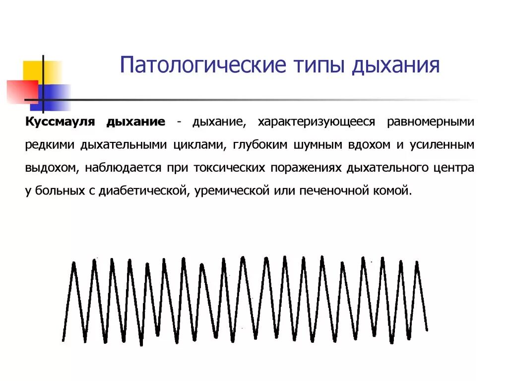 Какой тип дыхания. Патологические типы дыхания гаспинг. Патологические типы дыхания тахипноэ. Патологические типы дыхания у человека кратко. Патологическое дыхание Биота.