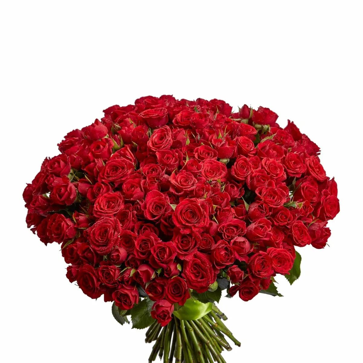 Крупные розы букет. Красные кустовые розы.