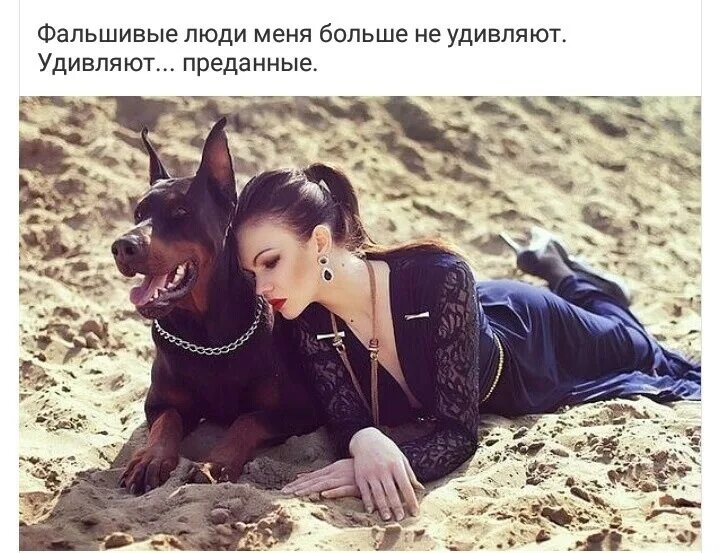 верные и преданные люди. предатель своего народа цитаты. верность должна быть во всем в отношениях. собака друг человека цитаты. верные и преданные люди.