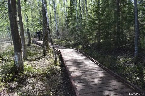 Путями тропами