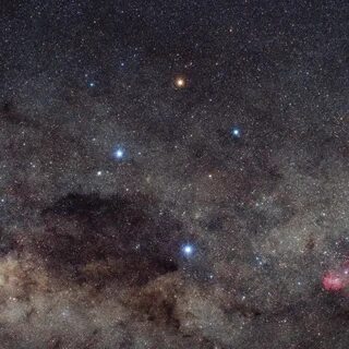 Как выглядит южный