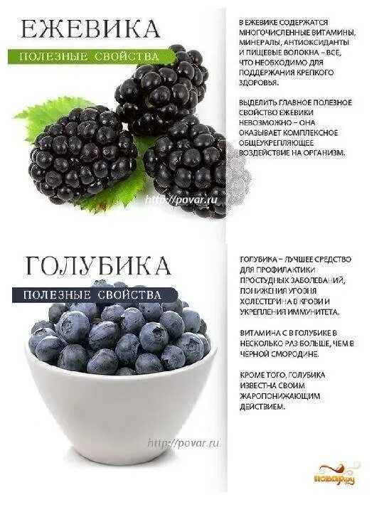 Лечебные свойства ежевики. Ежевика чем полезна для здоровья. Ежевика полезные свойства. Ежевика описание. Ежевика польза.