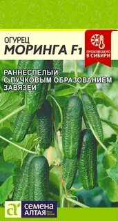 Семена огурцов семена алтая