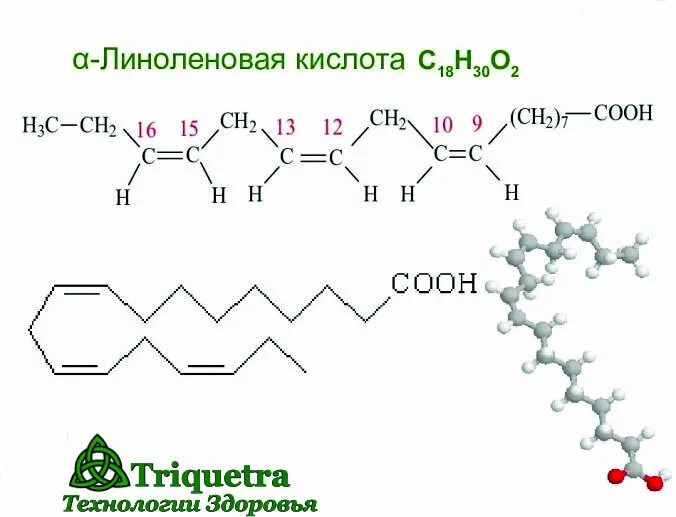 Линолевая кислота для чего нужна. Линолевая кислота и линоленовая кислота. Линоленовая кислота структурная формула. Альфа линолевая кислота. Линоленовая кислота молекулярная формула.