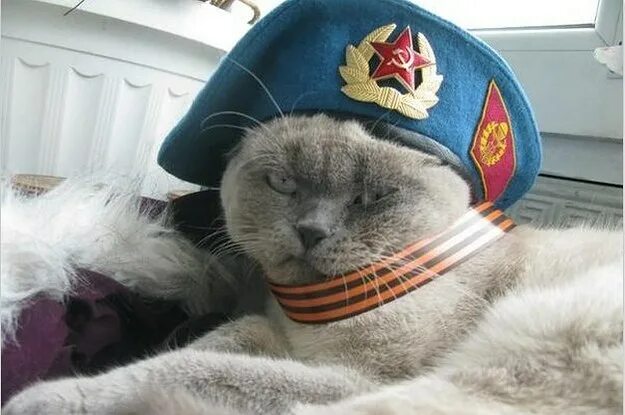 Ответы Mail.ru: Собираюсь провести зимние праздники на курортах Дагестана. Какой