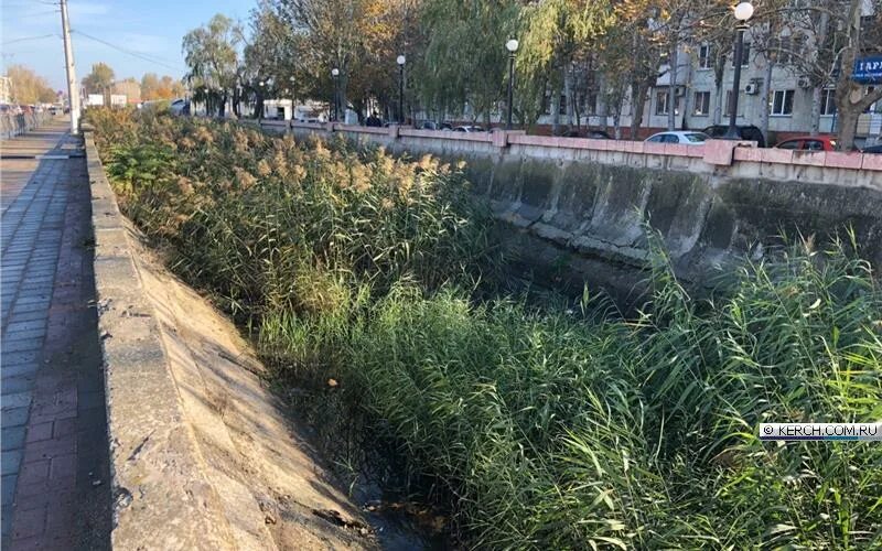 рус яз ладыженская 5 класс 560. живопись февраль поля проталины. черные проталины шепот в аллее. весенние проталины на дальнем востоке. упражнение 559 по русскому языку 5 класс.