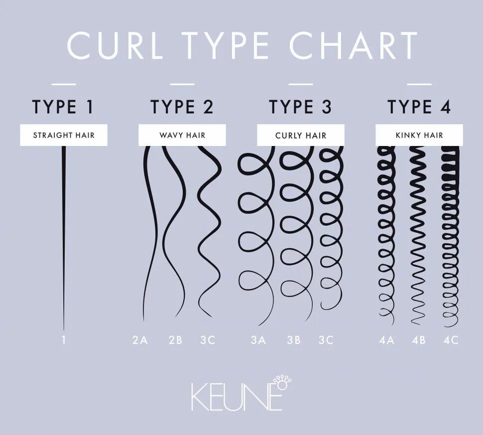 Curl content. Типы волос. Разные типы волос. Тип волос 2b. Волосы типы волос.