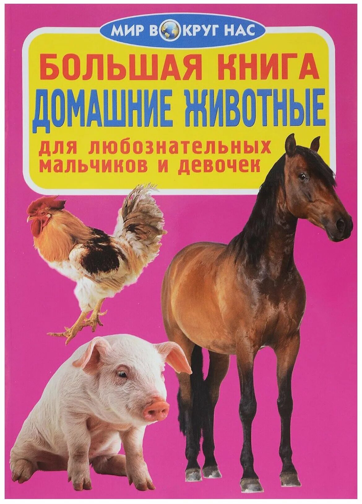 Книги о дом жив. Книги о домашних животных. Книге одамашних жывотных. Книги о домашних животных. Книги о домашних животных.