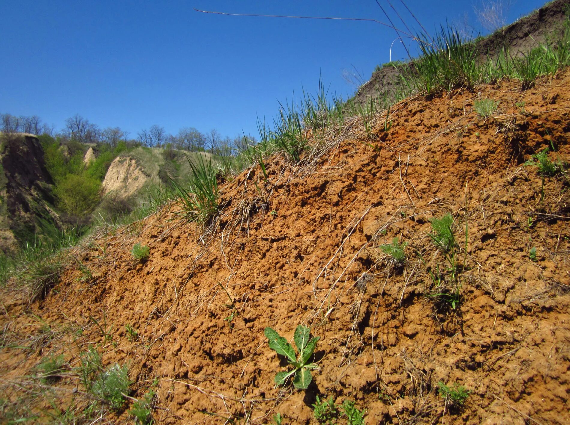 почва глина суглинок супесь. суглинок бурый. грунт суглинок. глина и суглинок. глинистые и суглинистые почвы.