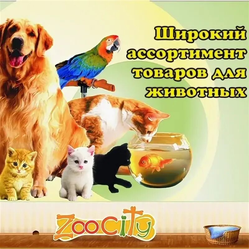 Зоосити работа
