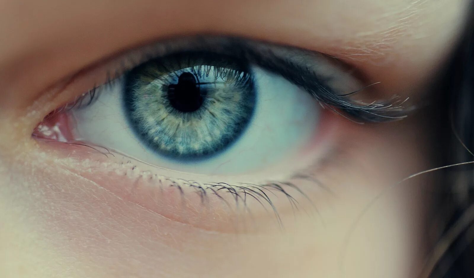 You have beautiful eyes. Красивые голубые глаза. Бирюзовые глаза. Серо голубые глаза. Зелёно-голубые глаза.