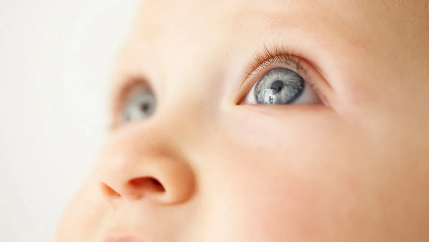 Baby eye песня. Взрослые глазами детей. Пустой взгляд у младенца. Виде мир глазами новорождённого. Как выглядит зрение новорожденных.