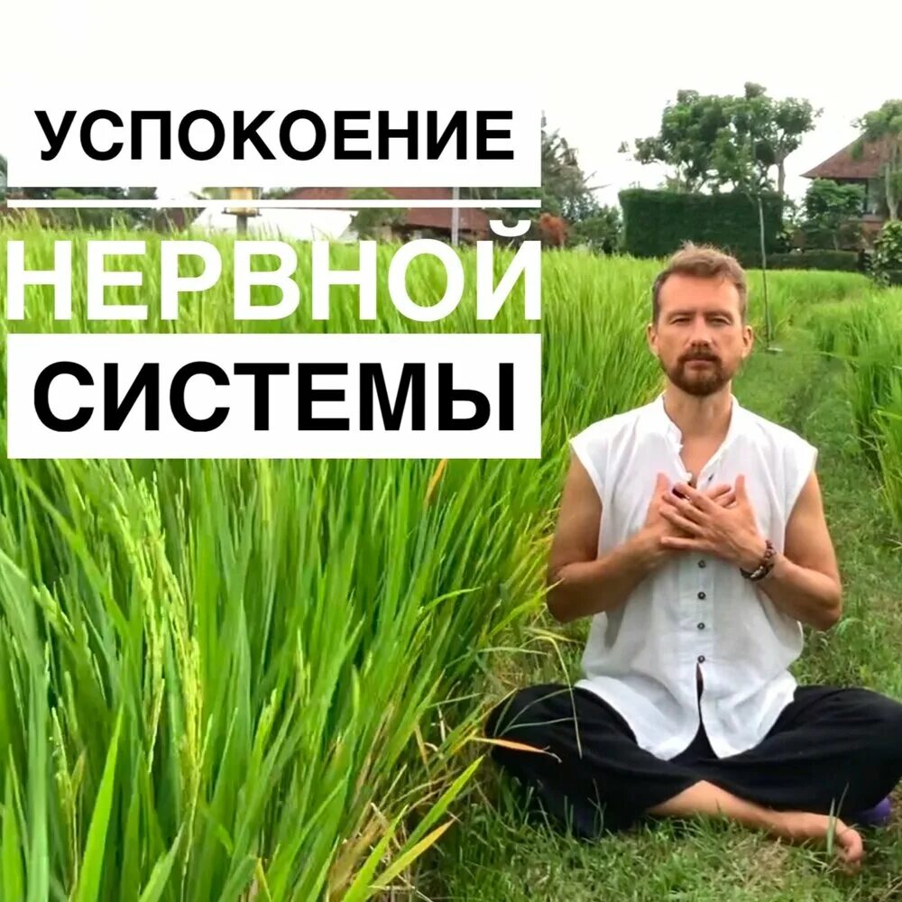 Медитация для снятия тревожности. Аутотренинг для нервной системы. Медитация. Человек в медитации. Расслабление.