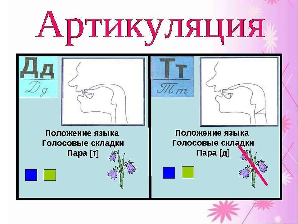 Правильная артикуляция звука д. •Уточнение артикуляции звуков [д] - [т].. Артикуляция звука т и д. Правильная артикуляция звука т. Артикуляция д