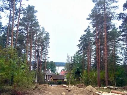 Поселок волочаевка ленинградская область