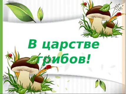 Презентация наши царства