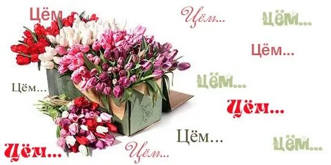 Цем