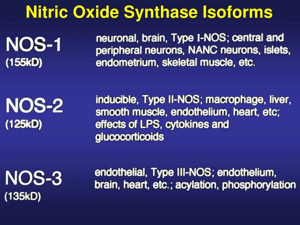 Oxide версия 40. Нитрик Оксайд. Нитрик оксид фанфик. Nitric Oxide формула. Nitric Oxide synthases.