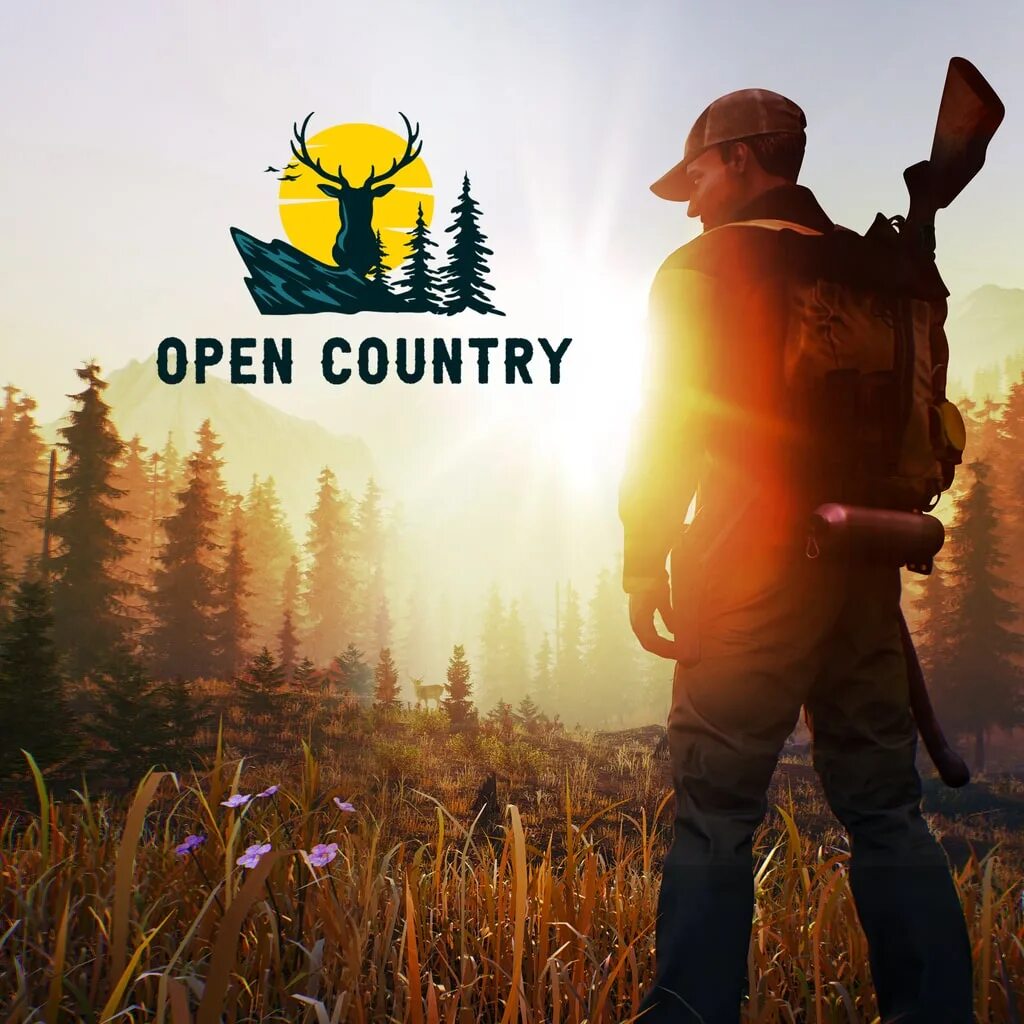 A day in the country 2. Игра open Country. Открываем Country Boss игра. Страны ПС.