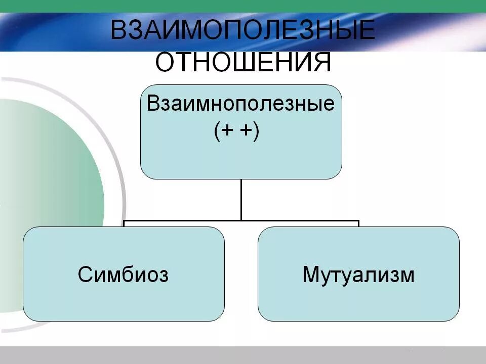 Взаимо связано. Взаимополезные отношения. Взаимополезные симбиозы. Взаимоотношения организмов взаимополезные. Взаимополезные связи мутуализм.