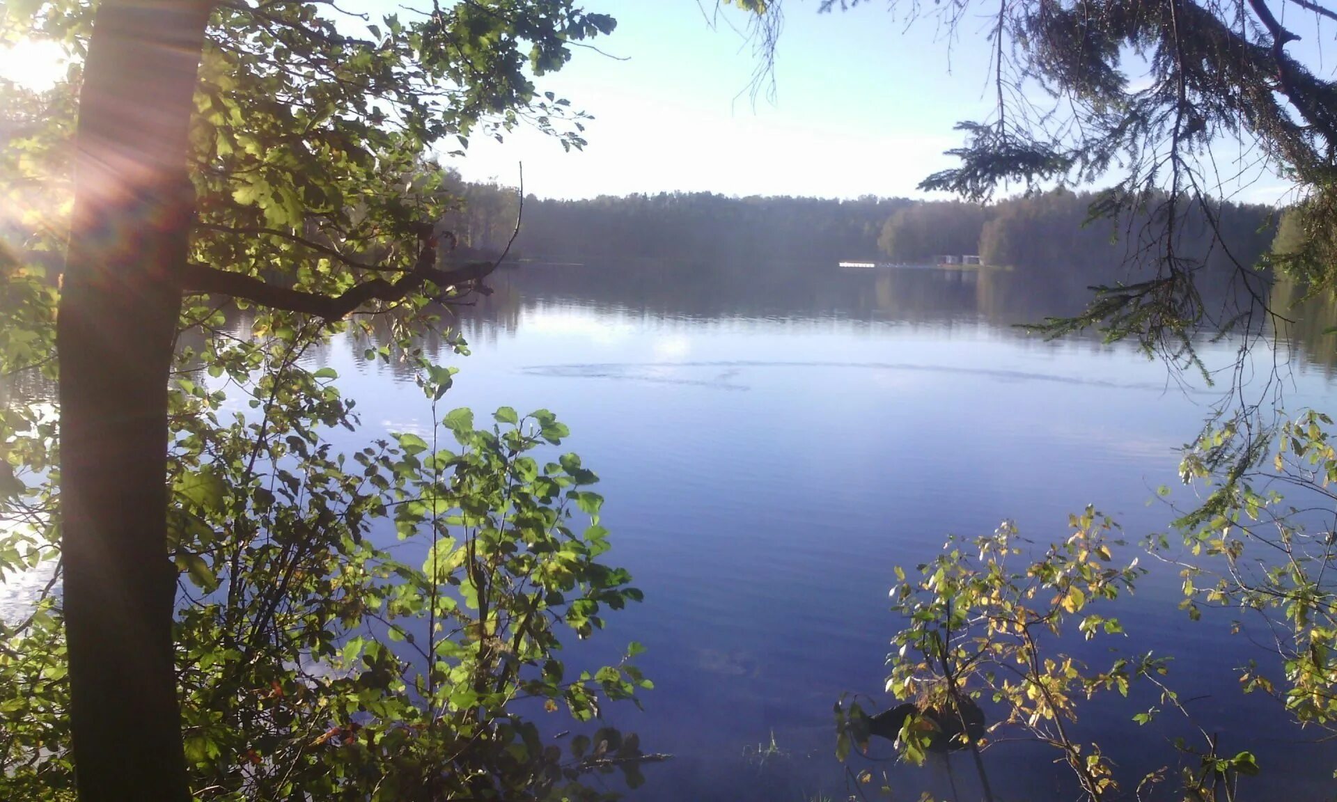 Осиное озеро. 2. Осиное озеро. Осиновое озеро кунгур. Лорейн каунти озеро сердце.