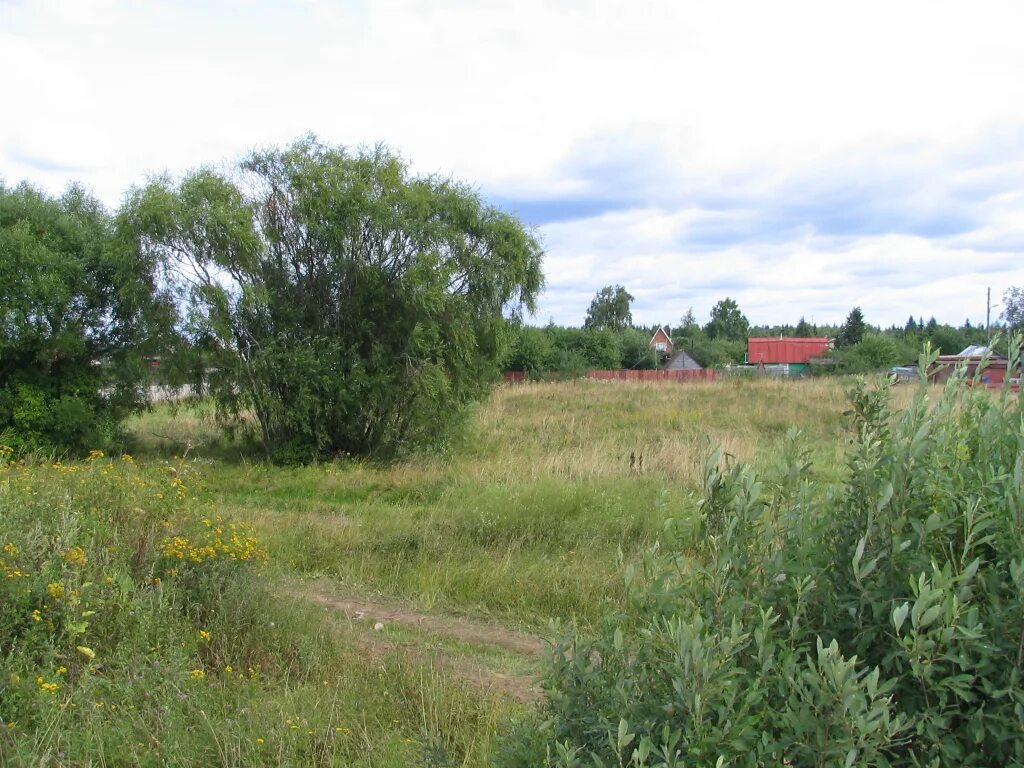 30 соток. Деревня крюково тульская область. 20 соток земли. Участок сотка. 30 соток земли.