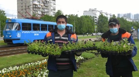 Жилищник чертаново