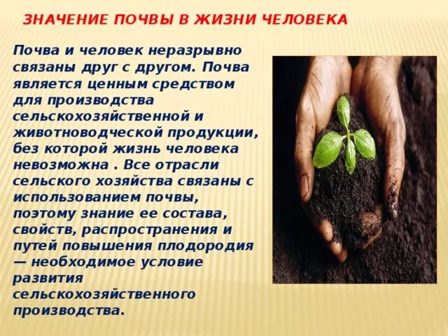 Роль почвы в жизни человека. Значение почвы для человека. Роль почвы в природе. Значение почвы для жизни на земле.