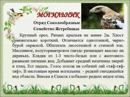 Могильник значение