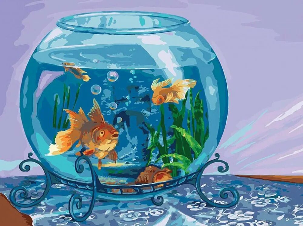 Снится аквариум с рыбками женщине. Аквариум. Рыбы в аквариуме. Круглый аквариум с рыбками. Аквариум с рыбками для детей.