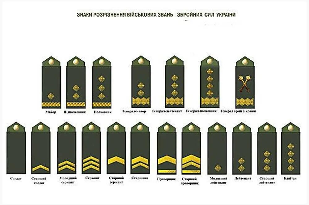 Различие званий. Погоны и звания в армии Украины. Воинские звания и погоны ВСУ Украины. Ранг военных Украины. Воинские звания в украинской армии.