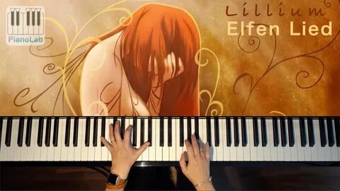 Lied lilium