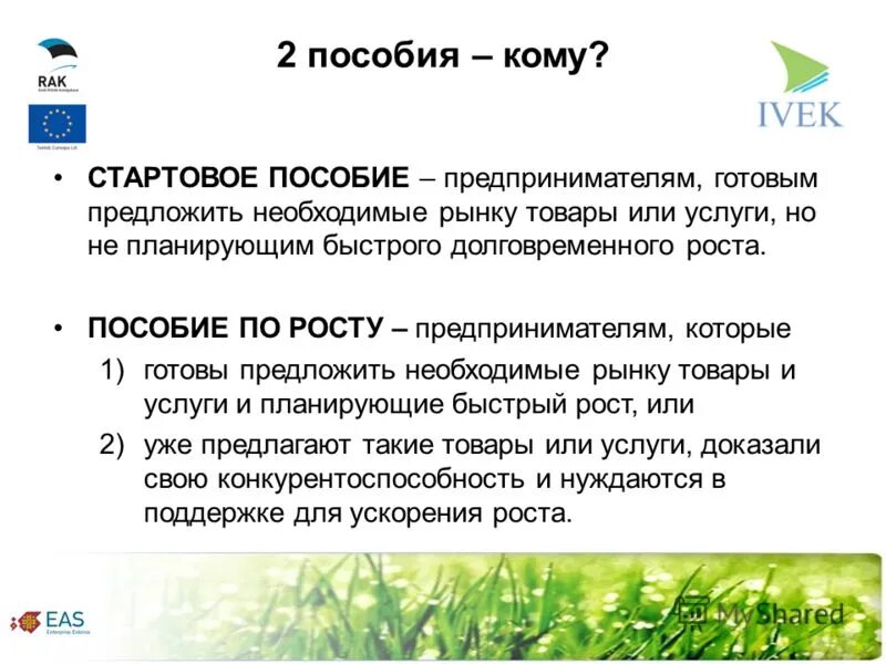 также готовы предложить