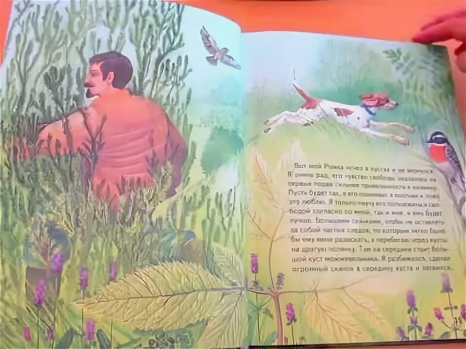 Барабабы из маленького принца. Маленький мальчик в лесу. Мальчик в кустах. Мальчик под кустом. Мальчик в кустах.