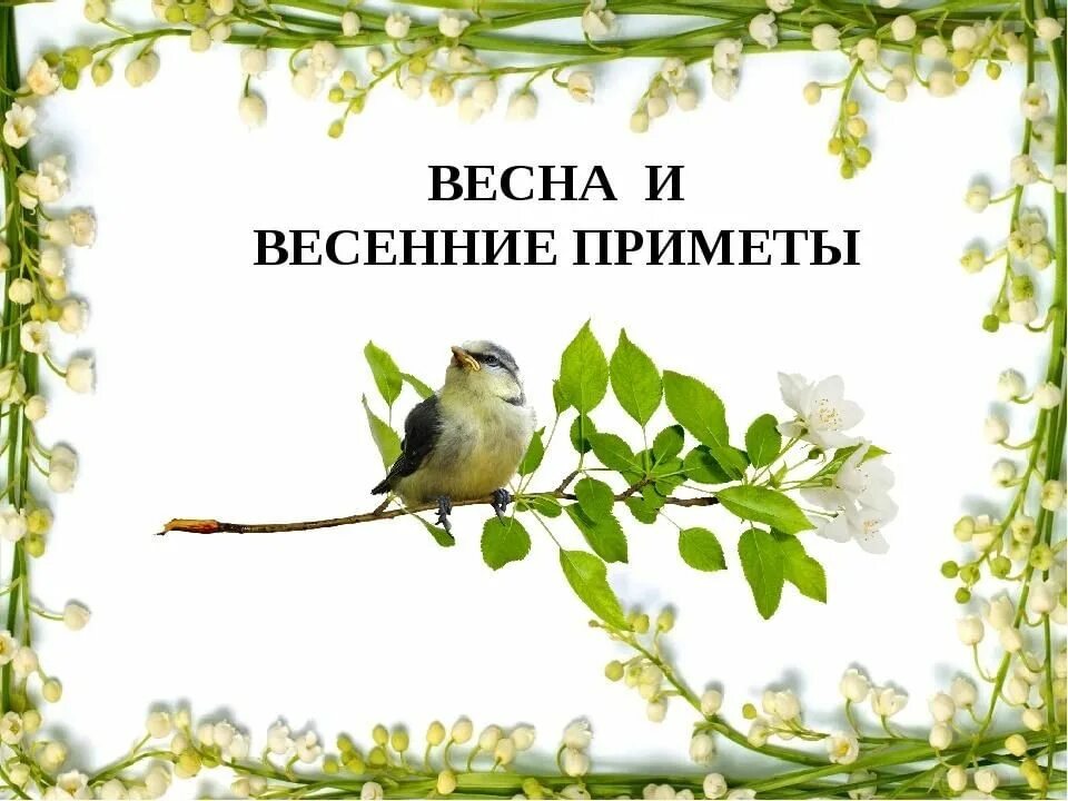 Запиши 1 из известных тебе весенних примет. Приметы весны. Приметы весны картинки. Весенние приметы. Приметы весны для дошкольников.