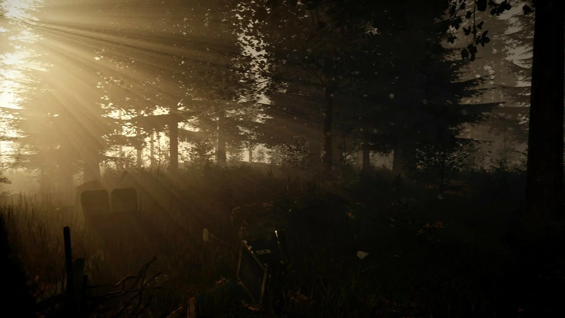 He forest. Forest игра. forest 2014 игра. зе форест лес. the forest ночь.