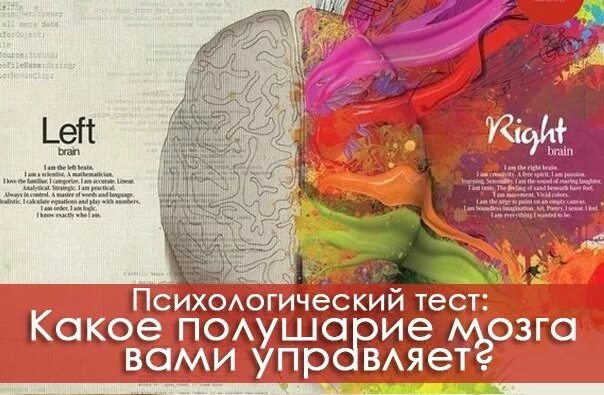 Левое полушарие мозга. Правое полушарие. Правое полушарие мозга тест. Тест на правое и левое полушарие мозга. Тест правое полушарие