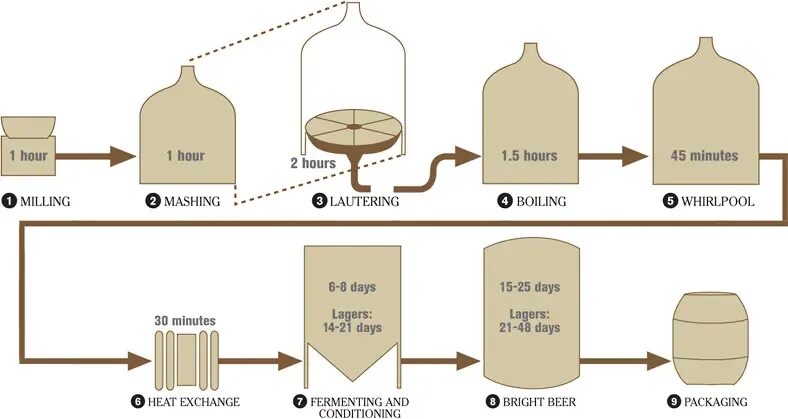 Верховое пиво. Схемы брожения мелассы. Пивоварня схема производства.