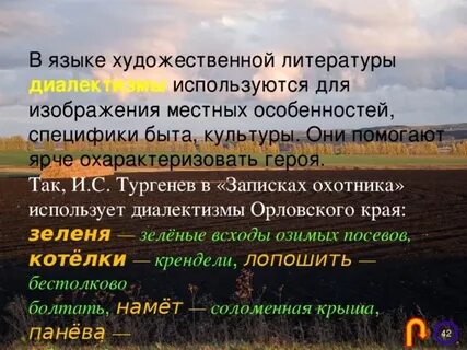 Диалектная лексика в произведениях художественной литературы
