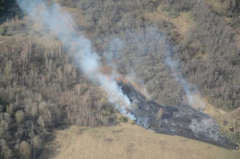 Наземный мониторинг пожарной опасности в лесах. Опасность мониторинга пожаров. Мониторинг лесных пожаров осуществляется. Мониторинг пожарной опасности в лесах. Мониторинг пожарной опасности в лесах и лесных пожаров.