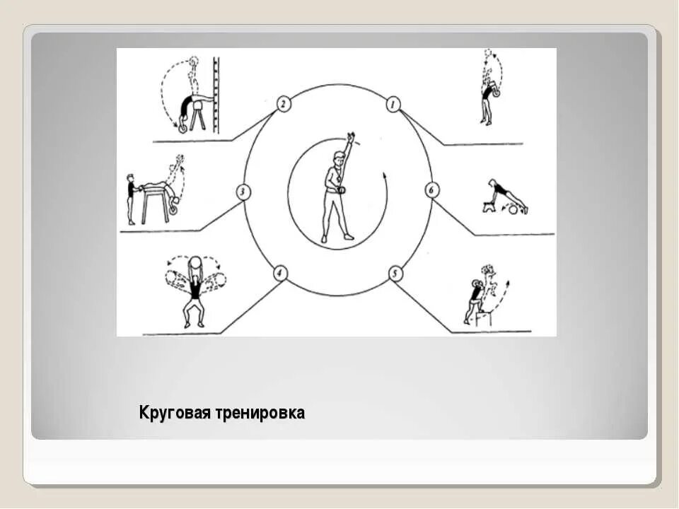 Поточно интервальный метод круговой тренировки. Алгоритм круговой тренировки. Метод круговой тренировки схема. Упражнения для круговой трени. Кольцевой метод