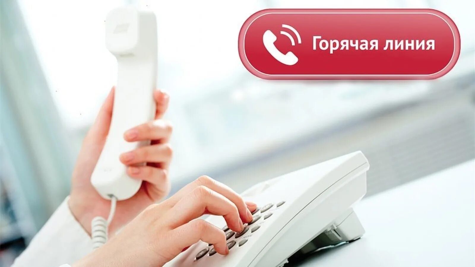 Подключить горячую линию