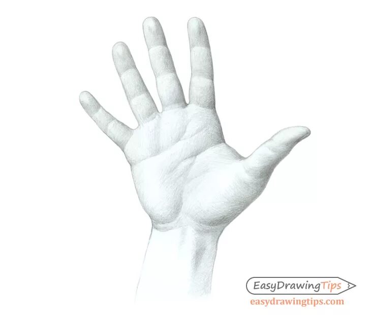 Easy hands. Palms hand draw. Hand Palm drawing. Hands easy. How to draw open Palm.